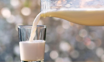 Raw Milk, Avian Flu, and You: What’s Really Happening?