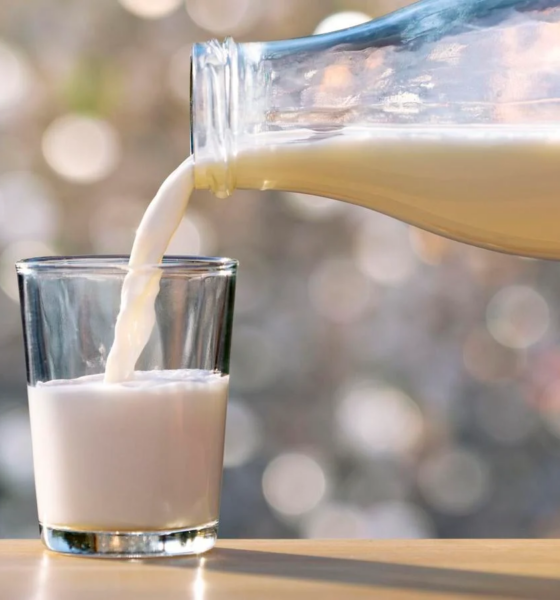 Raw Milk, Avian Flu, and You: What’s Really Happening?