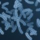 Deadly Shigella Strain Spreads in LA, Resistance to All Antibiotics Detected