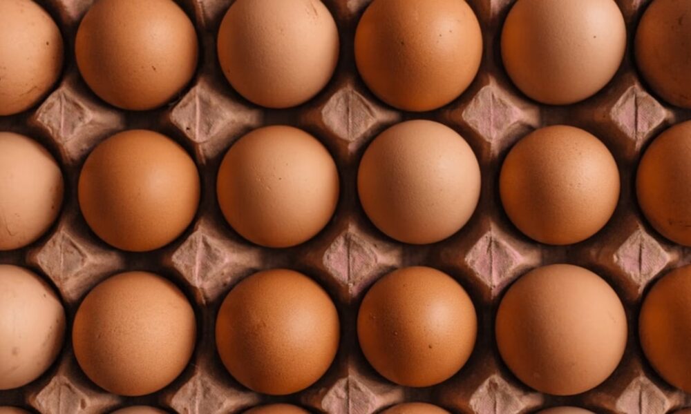 Severe Illness or Death: FDA Ups Egg Recall at Costco!