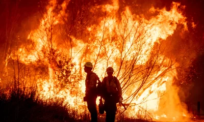 No Free Aid? Senator Demands Answers on Wildfire Relief!