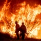 No Free Aid? Senator Demands Answers on Wildfire Relief!