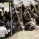 Trump Deploys 1798 Law, Military in Immigration Crackdown—Is It Legal? 